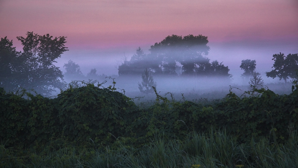 Фотографія Шаруватий туман був на світанку. Пліт обплело. / Юрій Максименко / photographers.ua