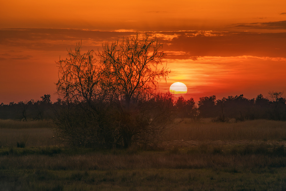 Фотографія У полях край села сонце ховається ранньою весною. / Юрій Максименко / photographers.ua