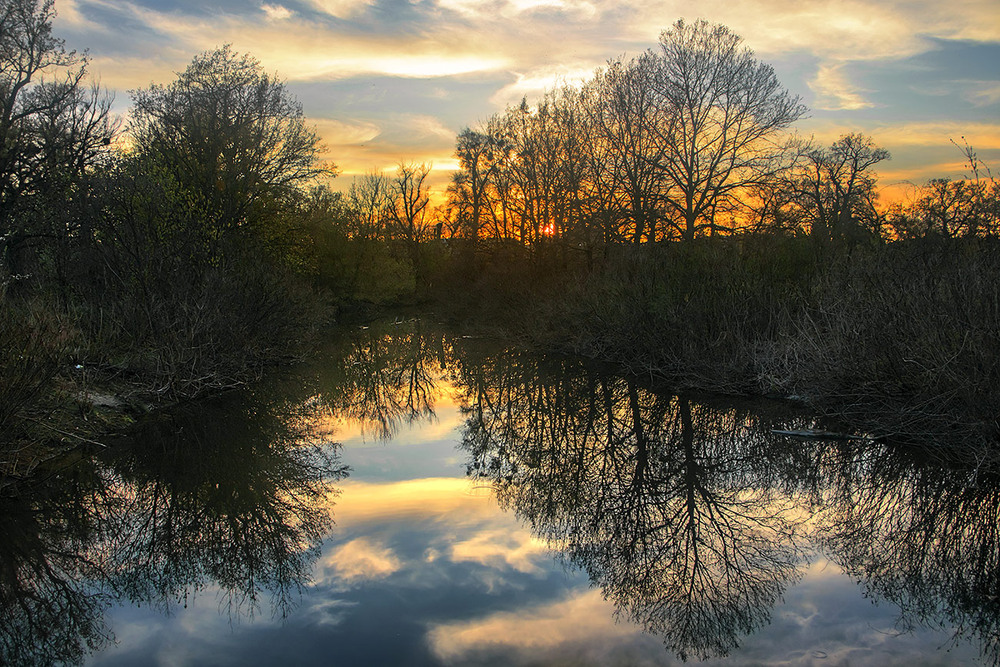 Фотографія Темна нічка річку вкрила. І береги, набубнявілі весняним лісом. А небо - сяє. / Юрій Максименко / photographers.ua