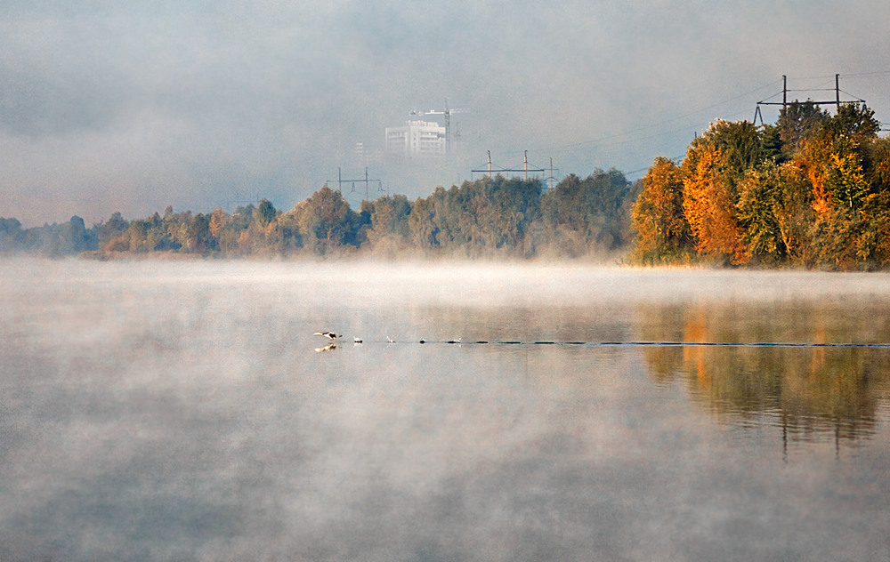 Фотографія В Києві. / Юрій Максименко / photographers.ua