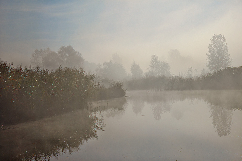 Фотографія Туман яром, туман долиною (cьогодні вранці). / Юрій Максименко / photographers.ua