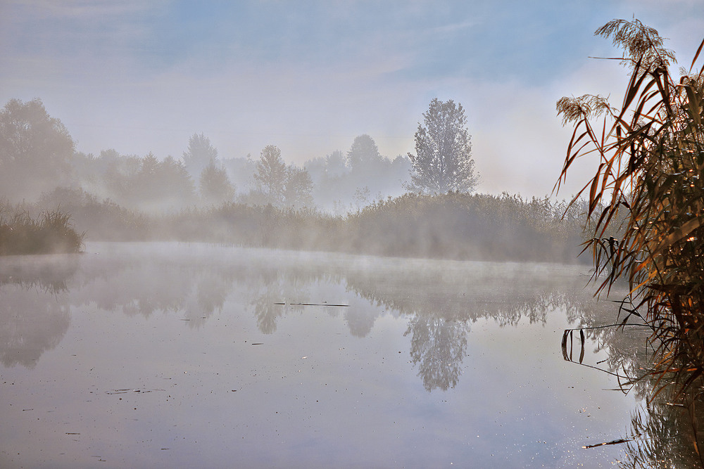 Фотографія Вранішній туман. / Юрій Максименко / photographers.ua