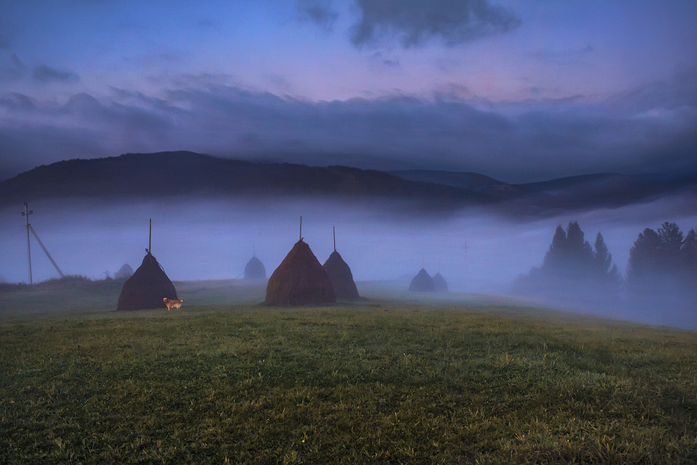 Фотографія Давно те все минулось - кохання призабулось, лиш серденько у грудях - все о-ох, о-ох, ох! / Юрій Максименко / photographers.ua