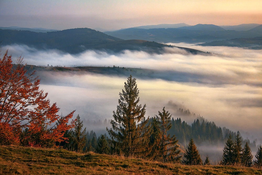 Фотографія Летять ніби тумани над долиною широкою і дні, і ночі. Ось і ранок прилетів. / Юрій Максименко / photographers.ua