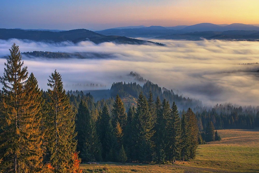 Фотографія Ось іще одна широченна ріка ллється долиною і лоскоче листя й гілочки дерев на світанку. / Юрій Максименко / photographers.ua