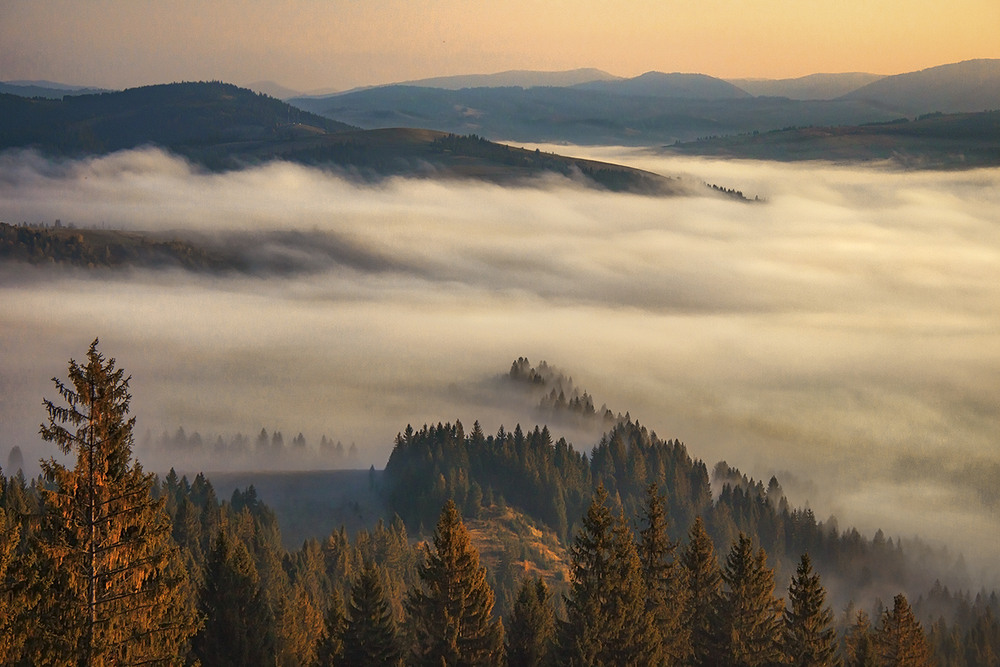 Фотографія Незмінно допитливі і захоплені погляди мандрівників викликає біле схвильоване пухнасте море зранку. / Юрій Максименко / photographers.ua