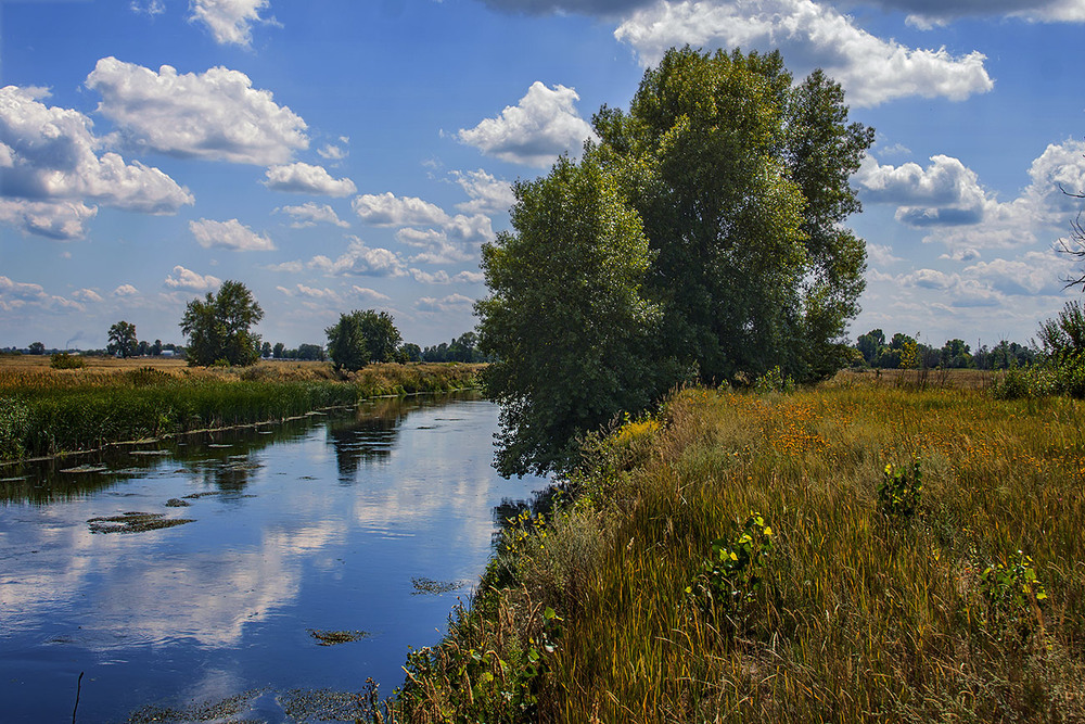 Фотографія Київщина в липні. / Юрій Максименко / photographers.ua