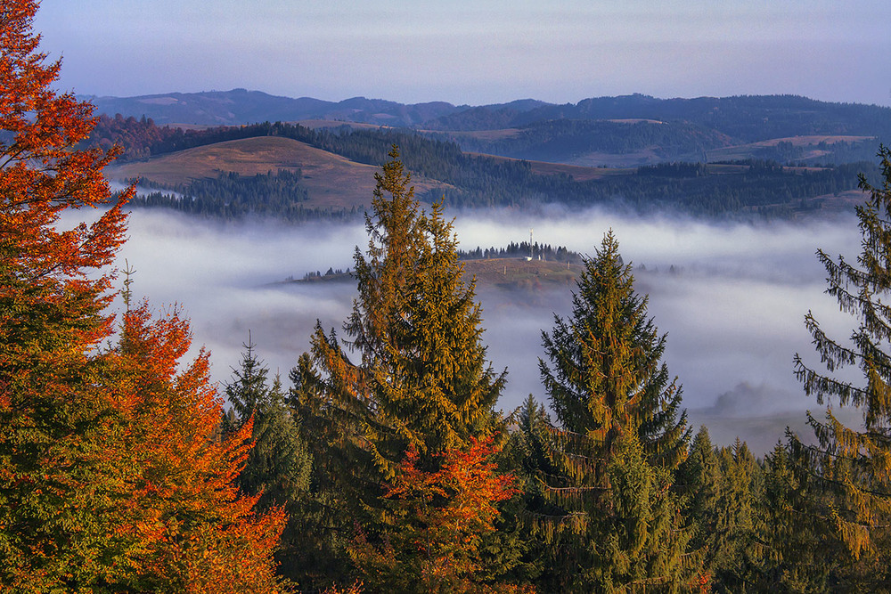 Фотографія Із-за гОри кам'яної вже орел злітає, якраз саме коли осіннячко палає - догоряє. / Юрій Максименко / photographers.ua