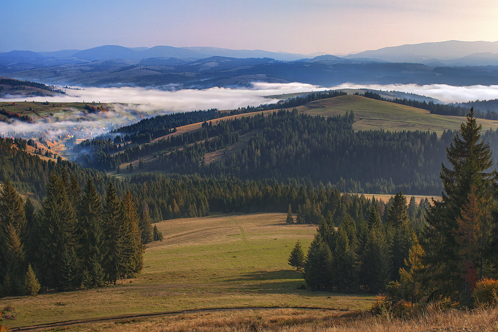 Фотографія Розлітаються звільна всі пута, що єднали нам з раннім життєм. / Юрій Максименко / photographers.ua