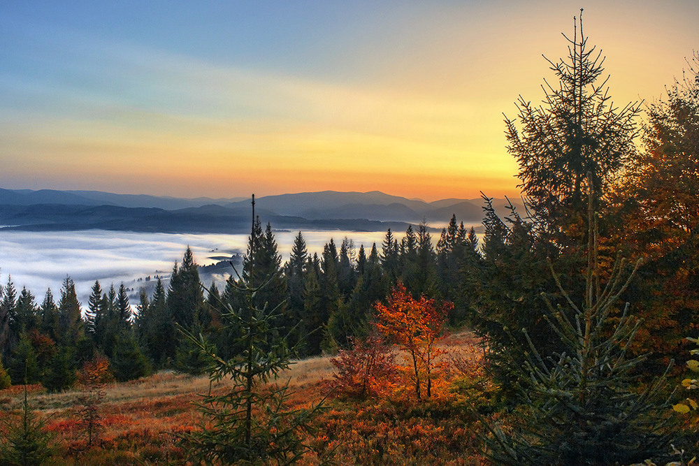 Фотографія Над карпаттям сонце сходить! Тумани втікають, - у синю даль, дозрілі афени і буки - червоніють. / Юрій Максименко / photographers.ua