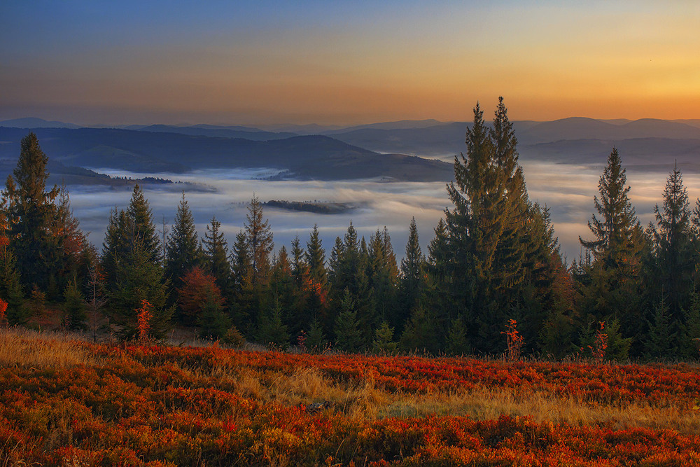 Фотографія Рано зранку на світанку гори, буває, ворушаться, важко дихають, світяться, а ще тихесенько зітхають / Юрій Максименко / photographers.ua