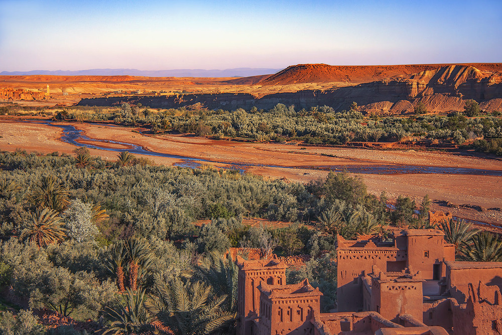 Фотографія На червоній планеті життя - триває. / Юрій Максименко / photographers.ua