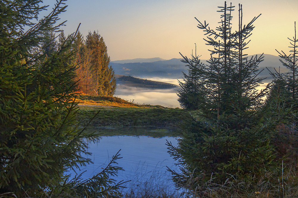 Фотографія Там десь за водАми, хмарАми, лісами, горами де сонечко сяє, там моя голубка з жалю завмирає. / Юрій Максименко / photographers.ua