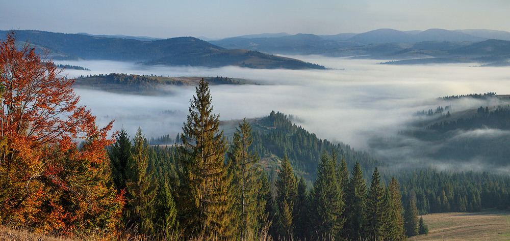 Фотографія Осінь випірнула з туману. / Юрій Максименко / photographers.ua