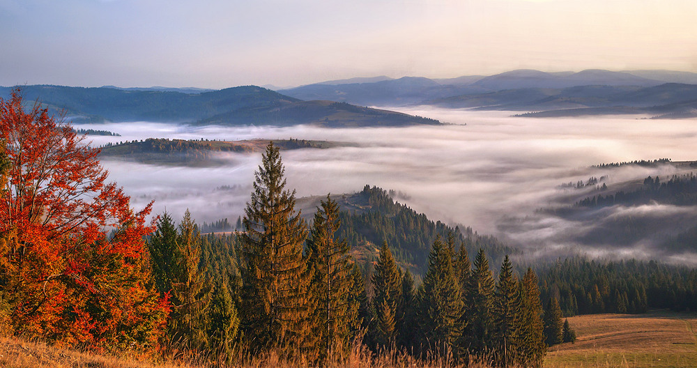 Фотографія Величезне біле море ворушиться, ллється і ллється з півночі на південь, до сонця. / Юрій Максименко / photographers.ua