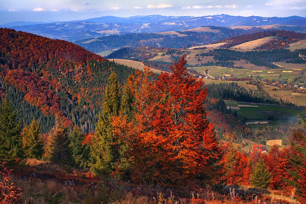Фотографія Жовтнева Боржава палає, тіні лягають, а обрій тане в серпанку понадвечірняцькому.. / Юрій Максименко / photographers.ua