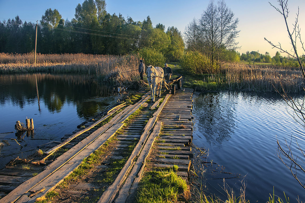 Фотографія Квітень, захід сонця, транспортний засіб і всі-всі-всі: дерево часу лягло під копита. / Юрій Максименко / photographers.ua