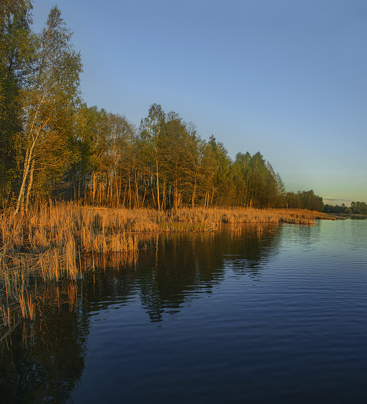 Фотографія Сонце заходить, ліс квітневий на березі річки бруньки розпускає, темніє та ще й червоніє. / Юрій Максименко / photographers.ua