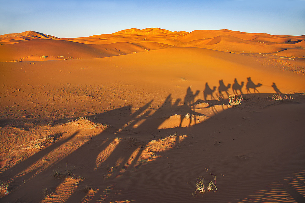 Фотографія Та й поїдем, та й пої-ї-ї-ї... / Юрій Максименко / photographers.ua
