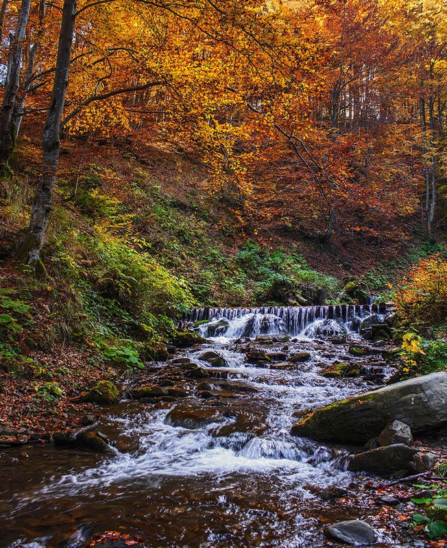 Фотографія Вода, яка біжить, час, який пливе. / Юрій Максименко / photographers.ua