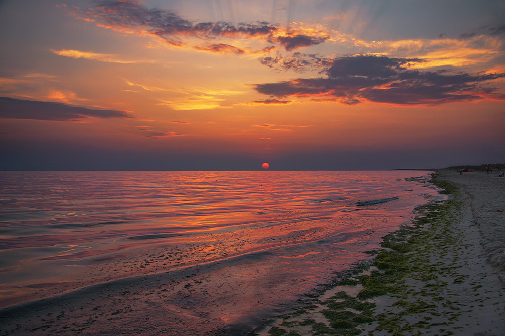 Фотографія В гонитві за маленькою червоною кулькою минається все життя усяких істот і сутностей на землі. / Юрій Максименко / photographers.ua