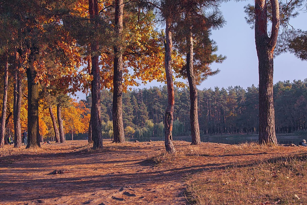 Фотографія На свіжому повітрі і дихається легше. Вечір настає. / Юрій Максименко / photographers.ua