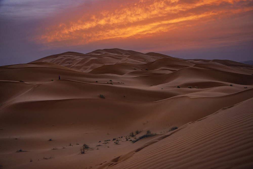 Фотографія Світає, край неба палає. А там десь за пісками, де сонечко сяє, там моя голубка з жалю завмирає. / Юрій Максименко / photographers.ua