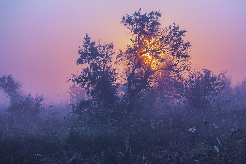 Фотографія Туманний ранок настає. / Юрій Максименко / photographers.ua