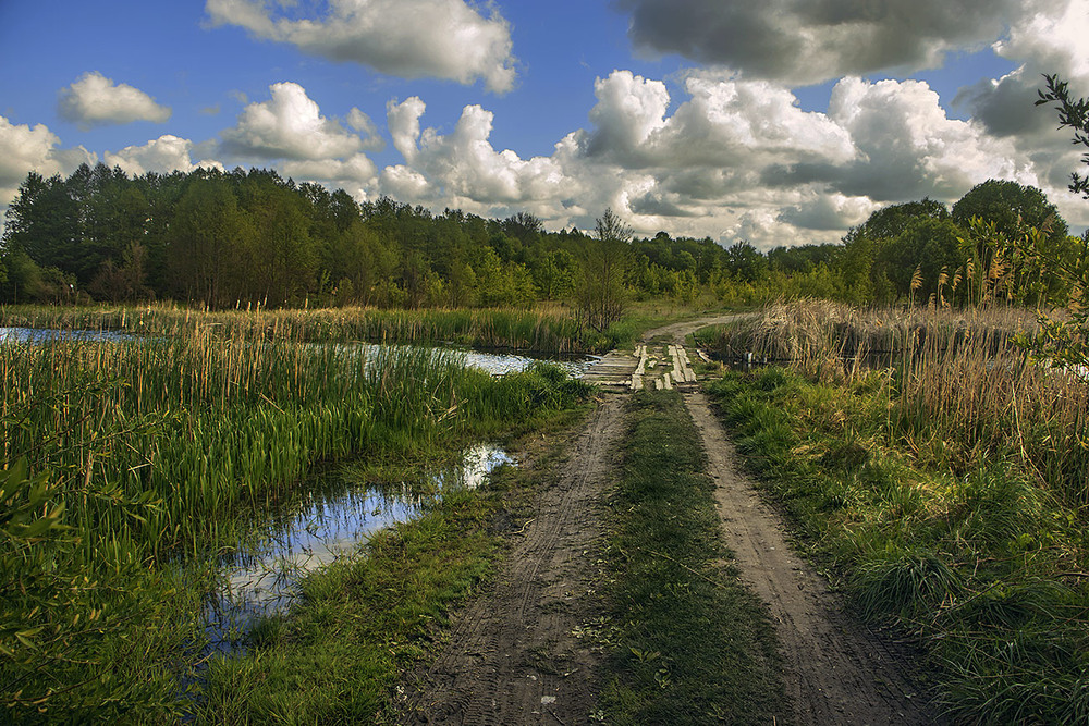 Фотографія Весна вже прийшла, а рибка ще десь гуляє. / Юрій Максименко / photographers.ua