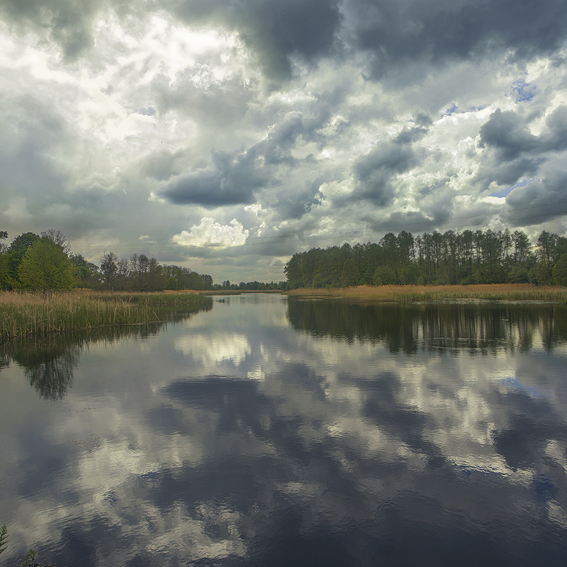Фотографія Очікування подій (подібно до реальних подій) реальні в своїх наслідках: буде дощ. / Юрій Максименко / photographers.ua