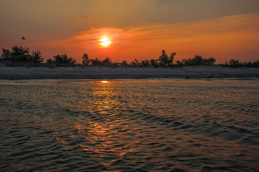 Фотографія Сонце зводиться. Ранок, море, оливки. / Юрій Максименко / photographers.ua
