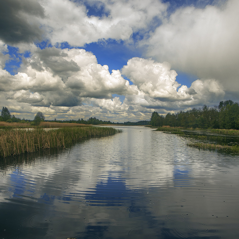Фотографія Діалектика: білі хмарки прийшли, і всім радісно, а потім із них - вже темних хмар - йде дощ сумний / Юрій Максименко / photographers.ua