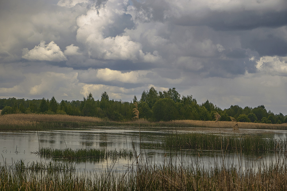 Фотографія Заре буде дощ. / Юрій Максименко / photographers.ua