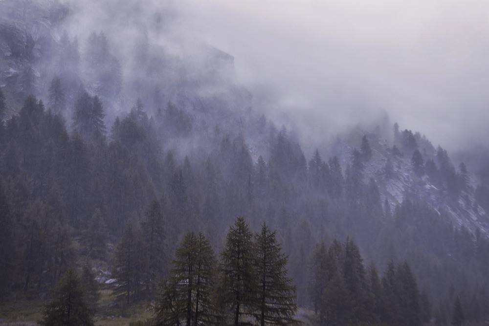 Фотографія Дощ - клапті хмар - клапті туманів - клапті згадок пропливають. / Юрій Максименко / photographers.ua