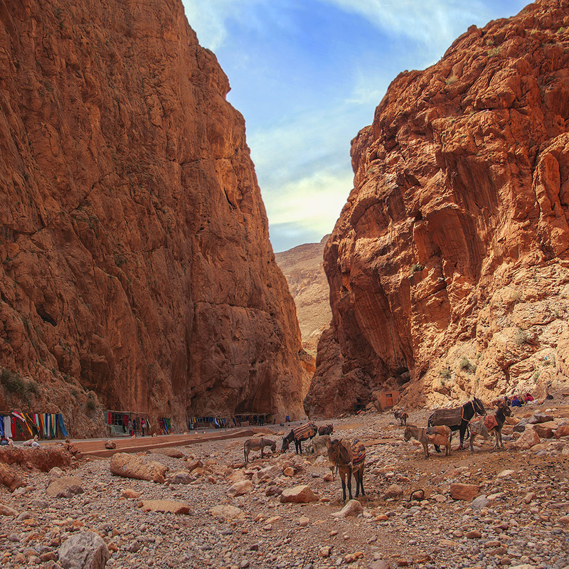 Фотографія В тіні глибокої ущелини життя протікає повійльно і спокійно. / Юрій Максименко / photographers.ua