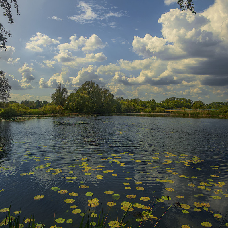 Фотографія Білі хмарки не прилетіли, але й не приповзли - прийшли собі потихесеньку на річку Старий Солотвин. / Юрій Максименко / photographers.ua