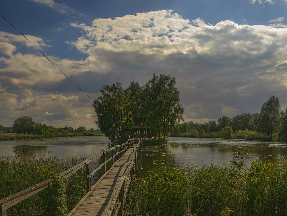 Фотографія І не знала, що та музика чарівна не для мене, а для іншої вона. / Юрій Максименко / photographers.ua