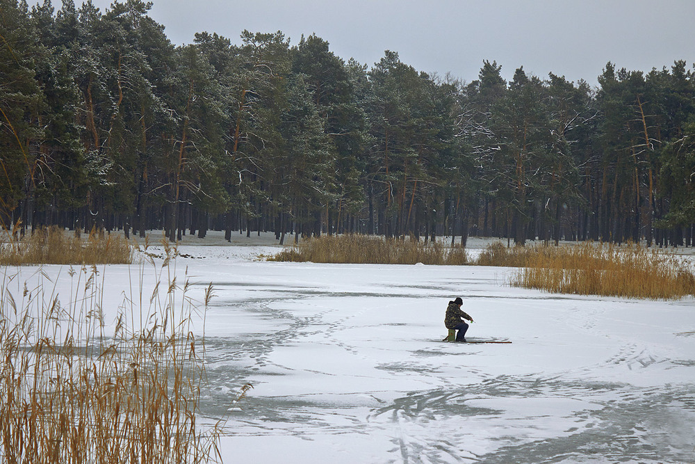 Фотографія Оце вирішив походить, подивитися - що воно таке - зима. / Юрій Максименко / photographers.ua
