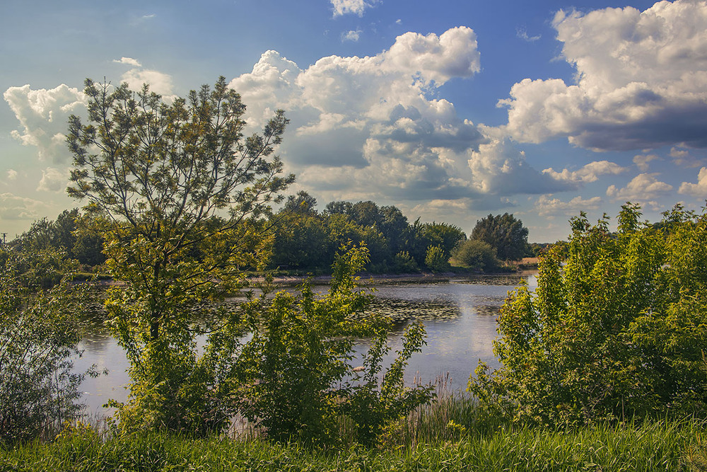 Фотографія Вже вечір хмарникуватий опускається на річку Коднянку. / Юрій Максименко / photographers.ua