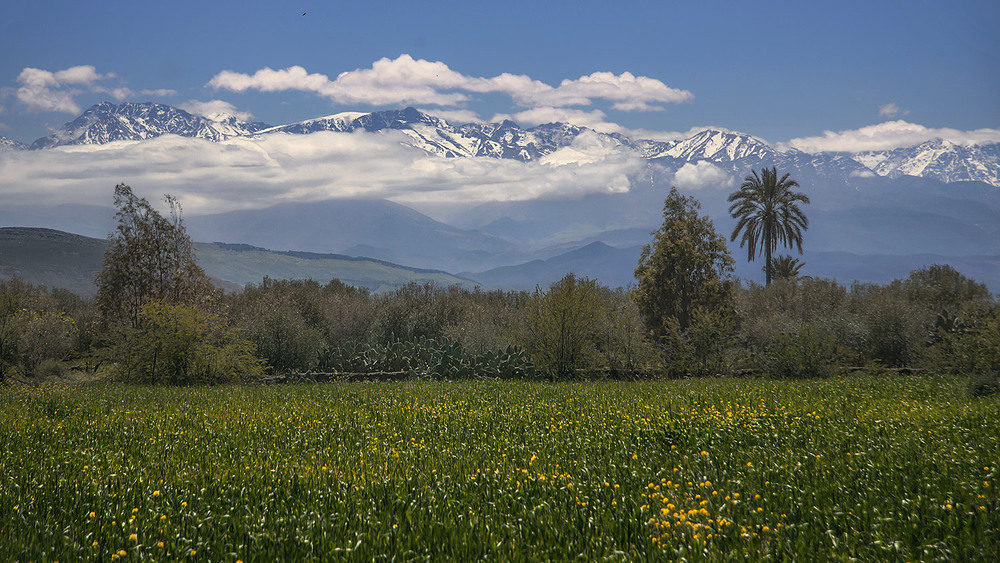 Фотографія А у вас же ж трапляється, коли розумієш, що те, що ти бачиш, ти бачиш востаннє? / Юрій Максименко / photographers.ua