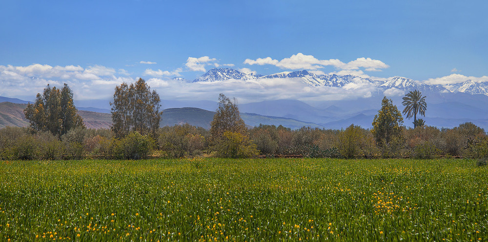 Фотографія На обрії - Атлаські гори, а за спиною - окіян. / Юрій Максименко / photographers.ua