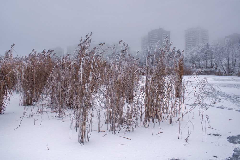 Фотографія Десь тут воно є, місто моє, в тумані й паморозі. / Юрій Максименко / photographers.ua