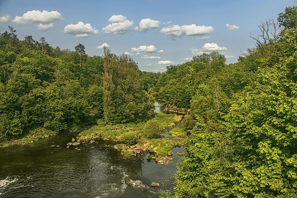 Фотографія Тече річка невеличка посеред лісу, фазовий перехід весна-літо завершується, білі хмарки пропливають / Юрій Максименко / photographers.ua