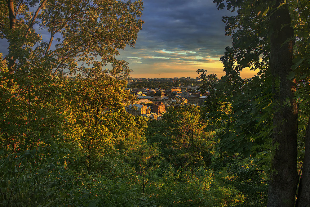 Фотографія Через поле, через гай ходить хлопчик Погуляй. / Юрій Максименко / photographers.ua