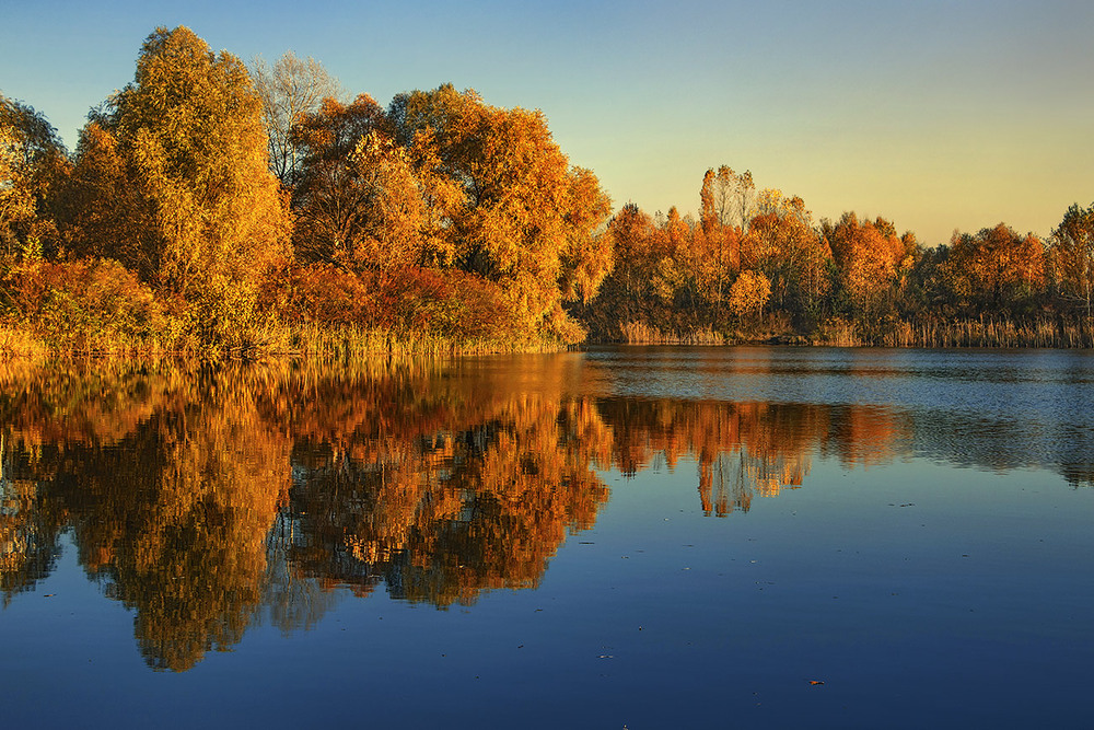 Фотографія Коли прозорий присмерк настає, люде чомусь радіють, а потім зітхають - кожен про щось своє. / Юрій Максименко / photographers.ua