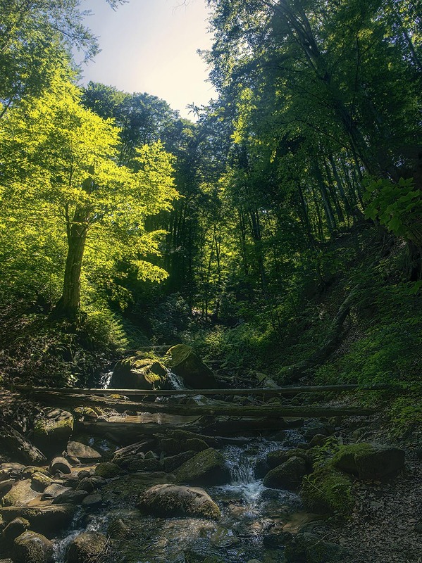 Фотографія Непереобтяженість людською присутністю увечері посеред карпаття - ось що вабить якнайбільше буває. / Юрій Максименко / photographers.ua