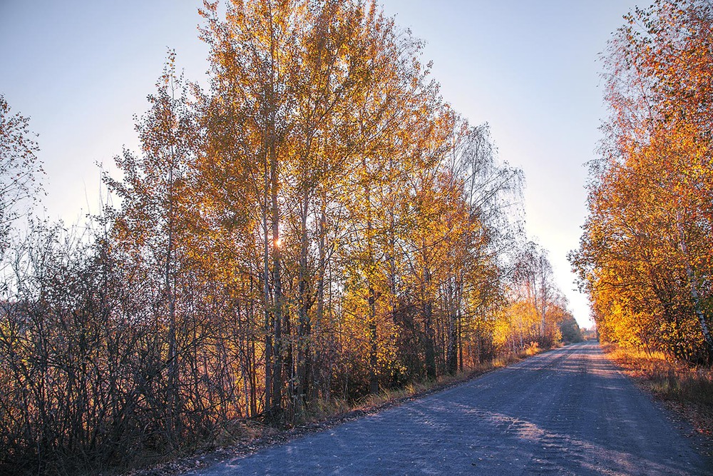 Фотографія Трапляються ЩЕ сині дороги в жовту осінь. / Юрій Максименко / photographers.ua
