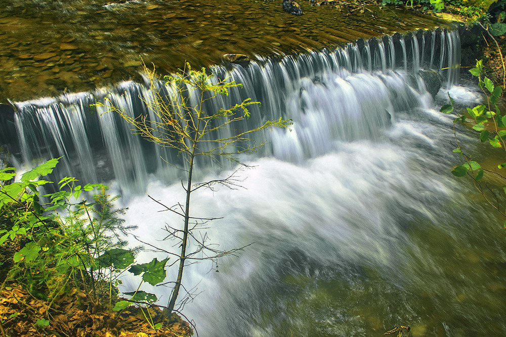 Фотографія Ялиночка завмерла коло пружних швидких струменів і зворохобленої непорушної піни. / Юрій Максименко / photographers.ua