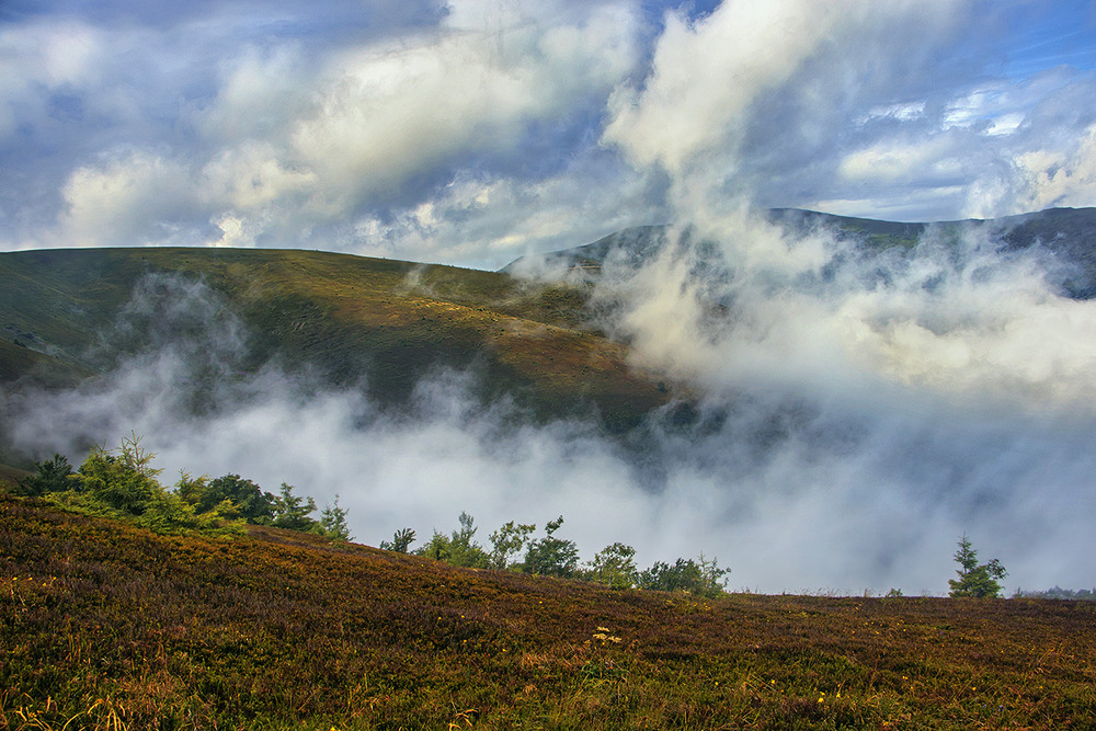 Фотографія Обриваються, розлітаються звільна всі пута, що єднали нас з раннім життєм до дощу. / Юрій Максименко / photographers.ua