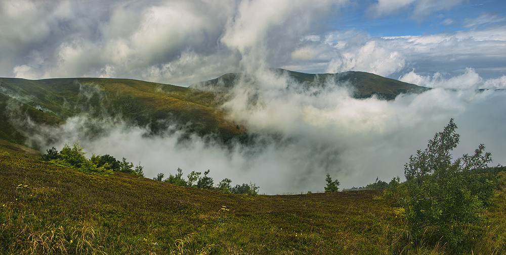 Фотографія В небі канареєчка літає і співає прямо в горизонт... / Юрій Максименко / photographers.ua